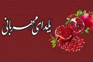 تامین مایحتاج معیشتی نیازمندان در شب یلدا/ اعلام روشهای مشارکت مردم در پویش «یلدای مهربانی»