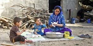 طرح بیمه زنان خانهدار روستایی به کجا رسید؟