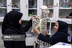 معاون پژوهش و برنامهریزی ادارهکل آموزش و پرورش استان خبر داد: ورود نیروهای تازهاستخدام آزمون دبیری به مدارس خوزستان در مهرماه