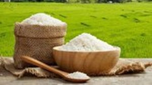 تولید برنج به ۲ میلیون و ۸۰۰ هزار تن میرسد