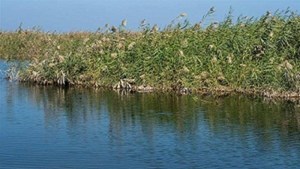 شناسایی مسیرهای گردشگری تالاب هورالعظیم