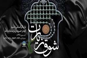 آسوده اعلام کرد؛ روشهای مشارکت در پویش «شوق زیارت»