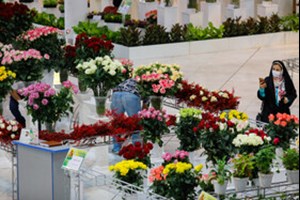 از ۲۳ آبان ماه؛ نمایشگاه گل و گیاه و صنایع دستی در اهواز برگزار میشود