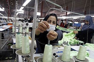 مدیرعامل صندوق ضمانت سرمایهگذاری تعاون خبر داد: صدور ضمانتنامه برای زنان سرپرست خانوار