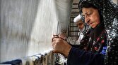 قانونی که بیش از ۱۰ سال از تصویب آن می‌گذرد؛ چرا فقط ۱۴ درصد قالیبافان کشور بیمه شده‌اند؟