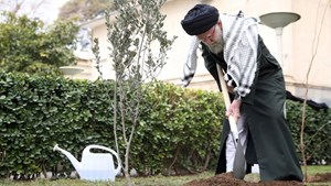 به مناسبت روز درختکاری؛ رهبر انقلاب سه اصله نهال کاشتند