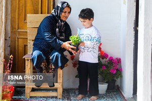 مدیرکل بیمههای اجتماعی کمیته امداد خبر داد: معرفی مادران روستایی و عشایر دارای ۳ فرزند و بیشتر برای پوشش «رایگان» بیمهای