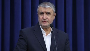 اسلامی خبر داد؛ سفر ۲ بازرس آژانس با مجوز شورای عالی امنیت ملی به ایران