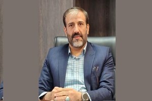 معاون فناوری اطلاعات بانک سپه خبر داد: دریافت ارز اربعین به‌صورت غیرحضوری از طریق روبیکا و بانک سپه