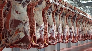 نارضایتی اهوازیها از قیمت شناور گوشت قرمز در بازار اهواز