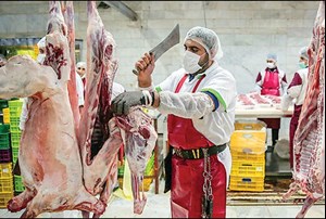 قیمت گوشت قرمز با ایجاد زنجیره تولید ۳۰ درصد کاهش مییابد