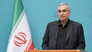 عیناللهی تاکید کرد؛ امارات مبدا انتقال تب دنگی به ایران/ضرورت غربالگری در مبادی ورودی