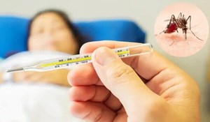ارائه خدمات تشخیصی آزمایشگاهی تب دنگی در شبکههای آزمایشگاهی