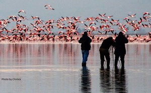هفتتپه میزبان دوره آموزشی پرندهنگری