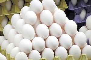 مدیرعامل اتحادیه مرکزی مرغداران: تولید تخممرغ بدون وقفه ادامه دارد / در صورت بروز شرایط خاص در کشور تمهیدات لازم را اندیشیده ایم