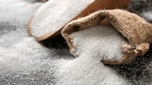 مدیرعامل شرکت توسعه نیشکر و صنایع جانبی عنوان کرد: پیشبینی رشد ۵۰ درصدی تولید شکر در واحدهای هشتگانه نیشکری