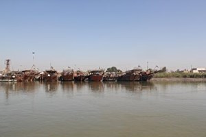 ممنوعیت صید میگو در صیدگاههای خوزستان