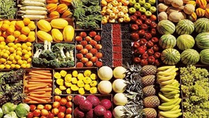 تشکیل کارگروه پایانههای صادراتی محصولات کشاورزی در خوزستان