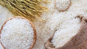 تولید برنج به یک میلیون و ۸۰۰ هزارتن می‌رسد