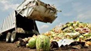 سالانه ۳۵ درصد محصولات کشاورزی از مزرعه تا سفره هدر میرود