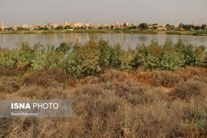 رئیس کمیسیون محیط زیست شورای شهر: در اهواز فضای "زرد" هم "فضای سبز" محاسبه میشود