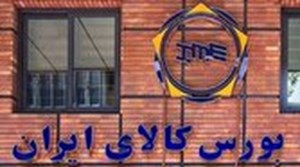 شرکت‌های دولتی و وابسته به نهاد‌های عمومی باید صورت‌های مالی خود را در کدال منتشر کنند