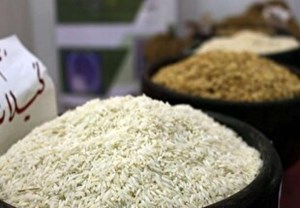 بازار برنج کی به تعادل میرسد؟