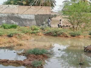 پیگیری جدی و رفع مشکلات روستاهای اهواز