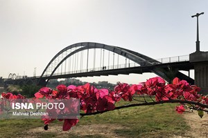 کشت گونههای گیاهی مقاوم و بومی در اهواز تا اردیبهشت سال آینده