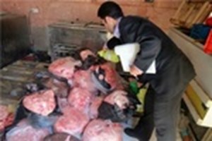 مدیرکل دامپزشکی خوزستان: بیش از ۳ تن فرآوردههای خام دامی غیربهداشتی در خوزستان معدوم شد