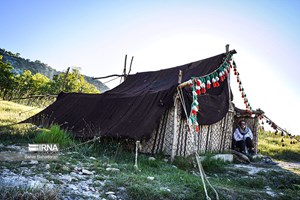 معاون سازمان امور عشایر ایران: ۱۲۰۰ واحد اقامتی عشایری در ۳۱ استان کشور برپا میشود