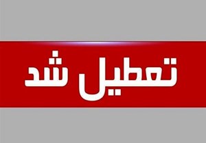 معاون اجرایی رئیسجمهور اعلام کرد: تعطیلی سراسری روز چهارشنبه/جزییات برنامه تشییع و تدفین پیکر آیتالله رئیسی
