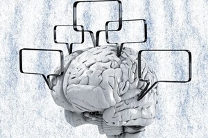 به مناسبت هفته «آگاهی از مغز» برگزار میشود/ مسابقه کتابخوانی «مغز در گذر زمان» ویژه گروه سنی بالای ۶۵ سال