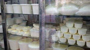 هشدار استاندارد نسبت به استفاده از لبنیات سنتی