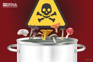 خطر قارچهای خود رو در فصل بهار؛ مراقب «کلاهکهای مرگ» باشید